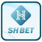 shbet broker Profile Picture