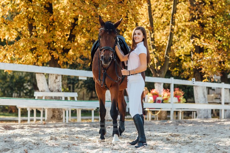 Effective Techniques for Horse Training