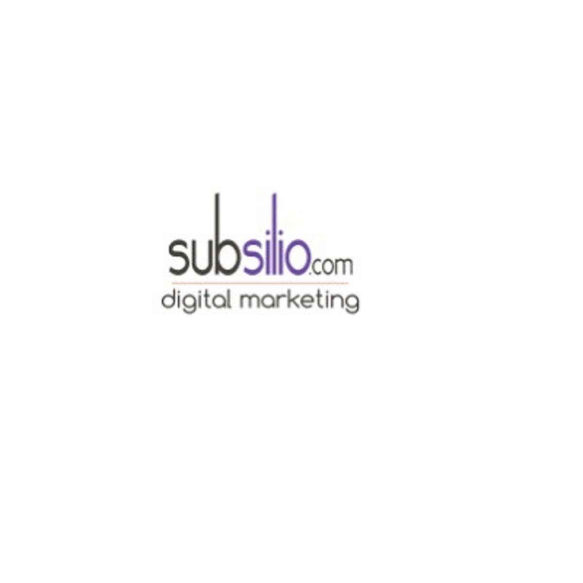 Subsilio Consulting LLC Cover Image