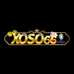 Xoso66 Direct profile picture