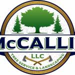 McCallies LLC Profile Picture