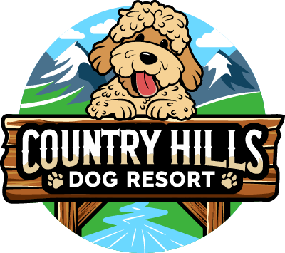 Country Hills Dog Resort | Dog Boarding West Kelowna | Canine Boarding West Kelowna | Board A Dog