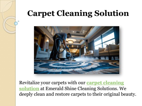 Carpet Cleaning Solution