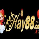 Hay88 Casino profile picture