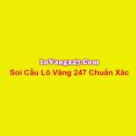 Soi Cầu Lo Vàng 247 profile picture