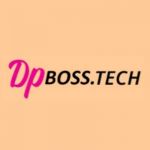 dpbossindia profile picture