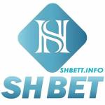 Shbet info Profile Picture