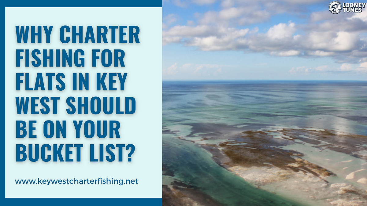 Why Charter Fishing for Flats in Key West Should Be on Your Bucket List? | by Looney Tunes Charter Fishing | Aug, 2024 | Medium