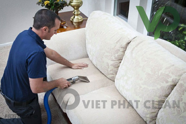 #1 Cách Làm Sạch Lông Chó Mèo Trên Sofa Hiệu Quả