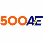 500aee co Profile Picture