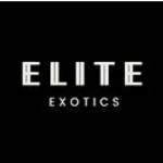 Elite Exotics Tampa Profile Picture