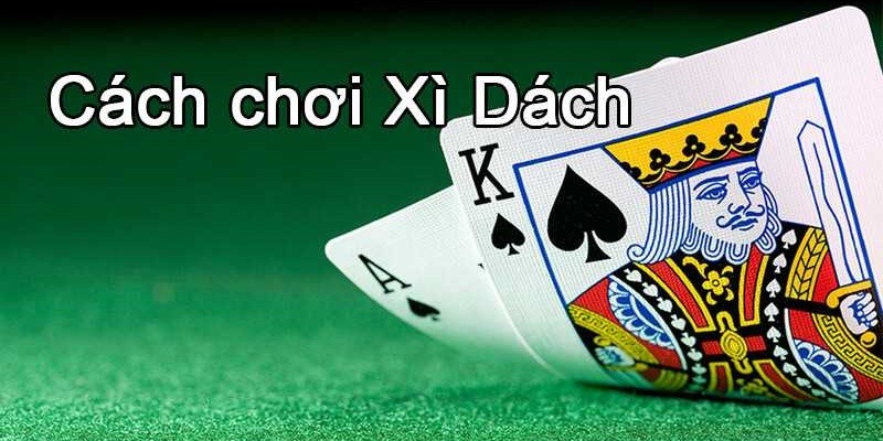 Bài Xì Dách là gì? Luật Chơi Cực Chi Tiết Dành Cho Người Mới 