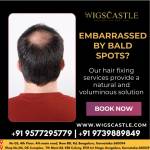 wigs castle Profile Picture