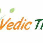 Vedic Treat Profile Picture