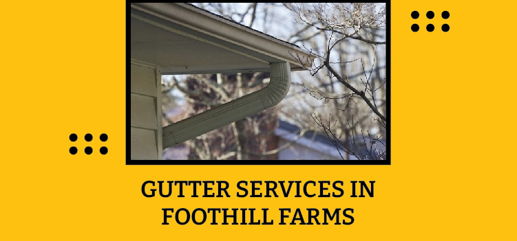 Top-Notch Rain Gutter Cleaning & Installation Services in Foothill Farms