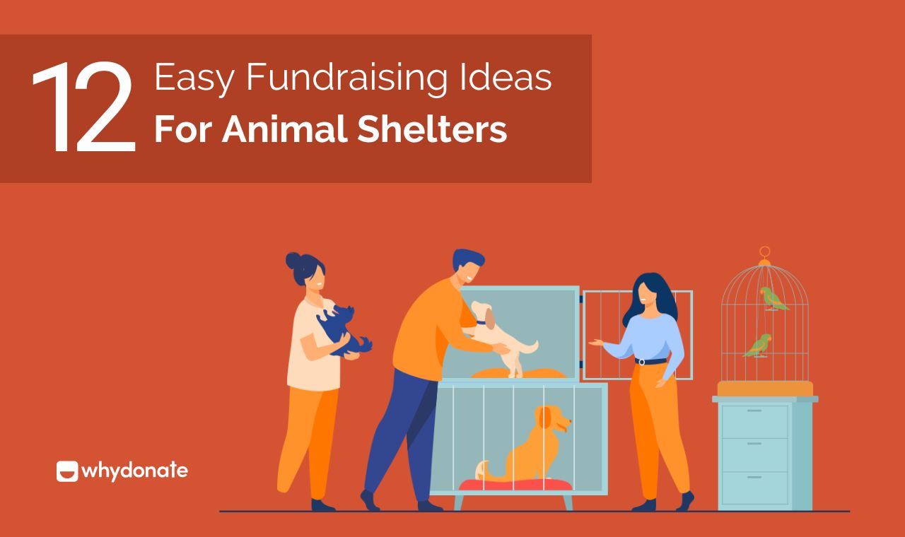 12 Easy Fundraising Ideas For Animal Shelters | WhyDonate