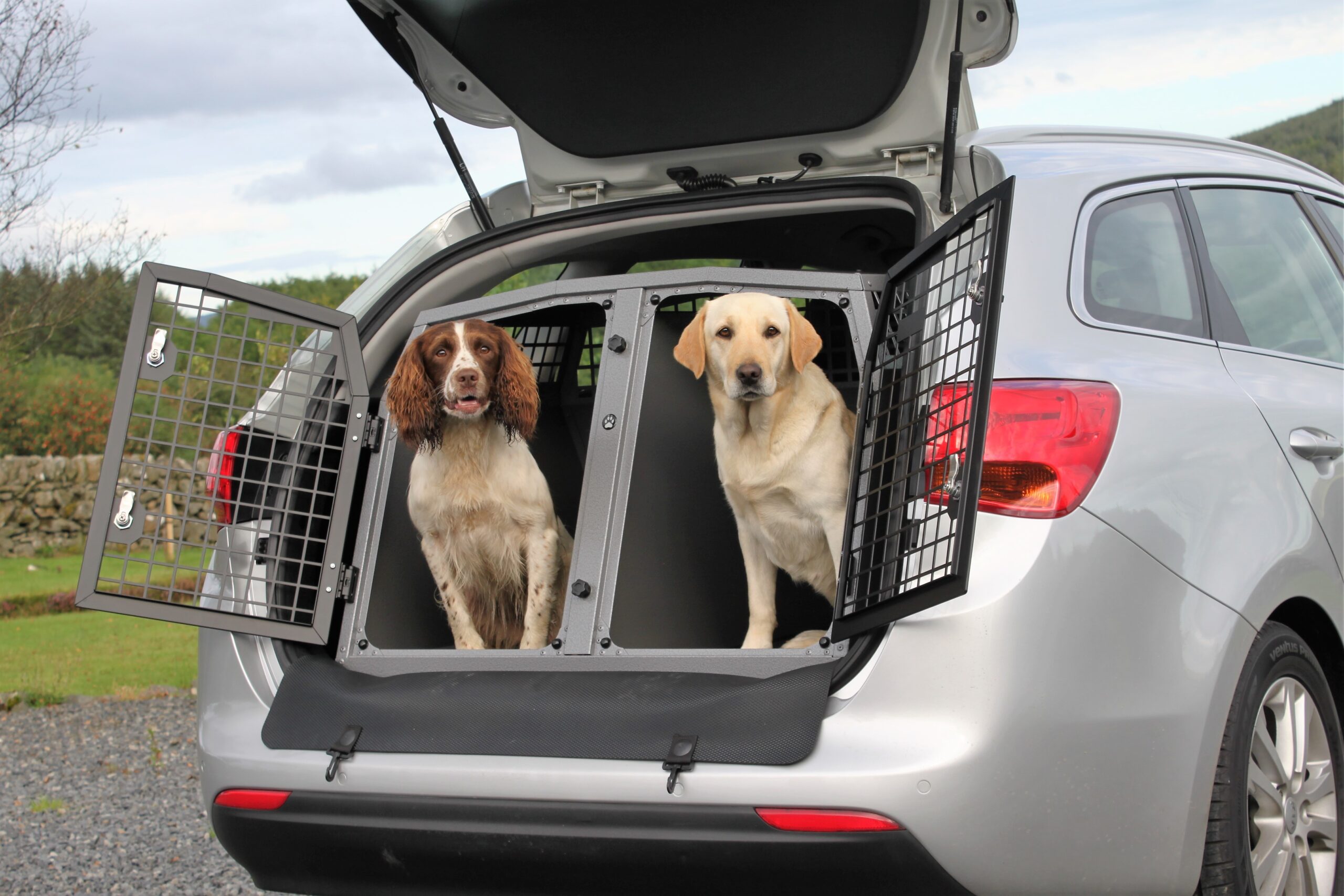 Furry Travelers: Finding the Best Pet Transportation in Chicago - Sniff City