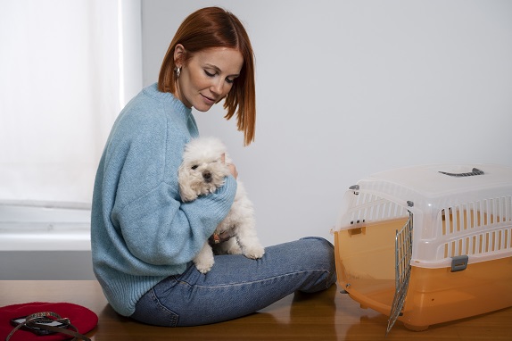 How to Prepare Your Home for a Small Breed Dog - Editors Top