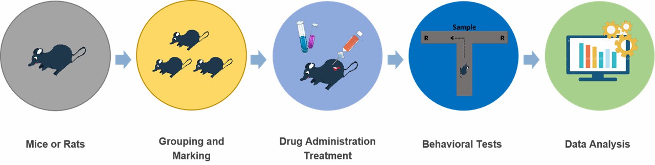 Evaluation of Anti-Stroke Drugs