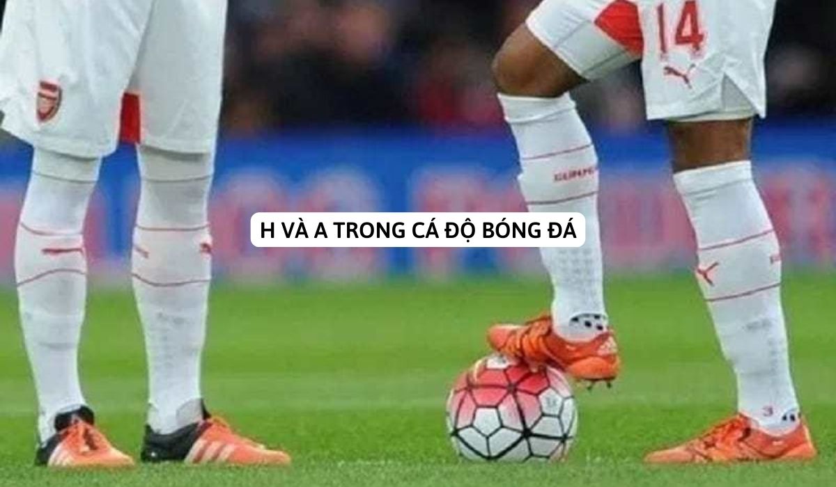 H và A trong cá độ bóng đá: Bí kíp dành cho người mới bắt đầu