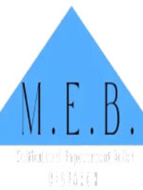 MEB Research - Business & Professional Services - Business