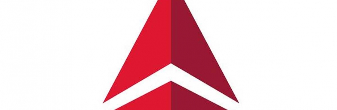 DELTA AIR LINES Cover Image