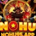 NOHU95 Casino Profile Picture