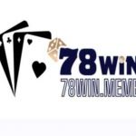 78WIN Casino Profile Picture