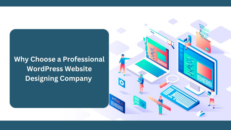 Why Choose a Professional WordPress Website Designing Company for Your Business? : chahar1234 — LiveJournal