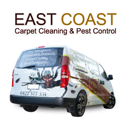 Carpet Cleaning Sunshine Coast | Pest Control Sunshine Coast