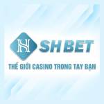 SHBET Casino Profile Picture