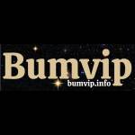 Bumvip profile picture