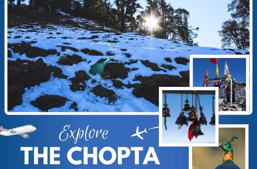 How to Reach Chopta from Delhi – Webs Article