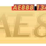 AE888 HELP 228 Profile Picture