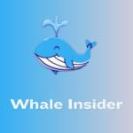 Whale insider Profile Picture