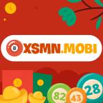 Xổ số kiến thiết miền Bắc hôm nay XSMNmobi profile picture