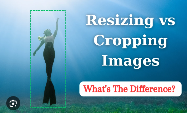 Resizing vs. Cropping Images: What’s The Difference? - Watermarks Pro