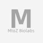 MtoZ Biolabs profile picture