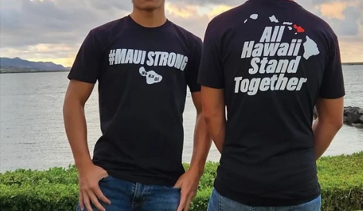 Anything Hawaii Cover Image