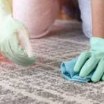 AandB AandB Carpet Cleaners Profile Picture