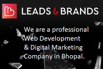 SEO Company in Bhopal | SEO Services - Leads and Brands