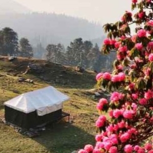 Tungnath to Chandrashila trek distance