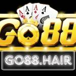 go88 hair profile picture