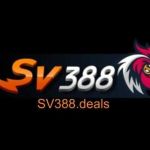 SV388 Casino Profile Picture