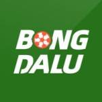 Bongda lu profile picture