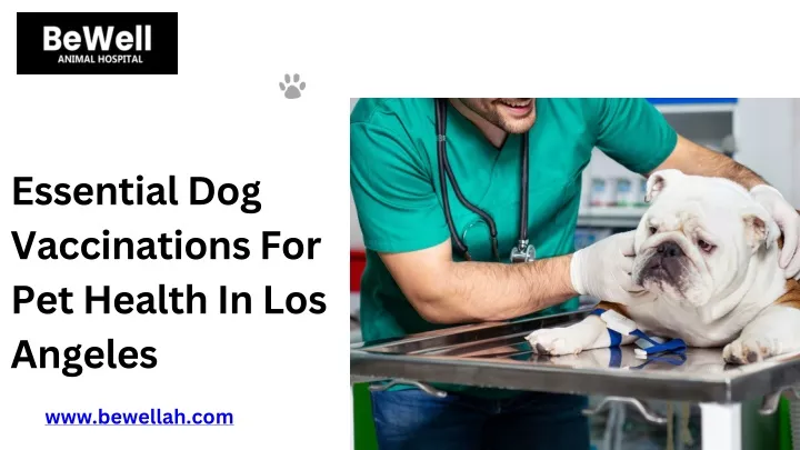 Essential Dog Vaccinations For Pet Health in Los Angeles PowerPoint Presentation