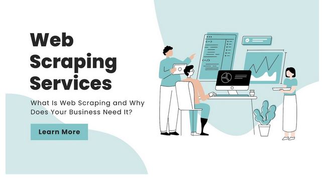 Web Scraping Services: What Is It and Why Does Your Business Need It? -