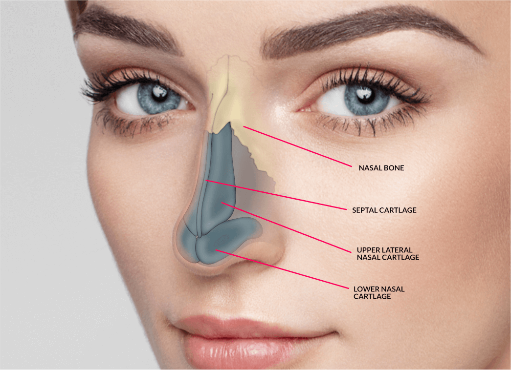 Rhinoplasty Cost In India | Rhinoplasty Treatment Cost In India