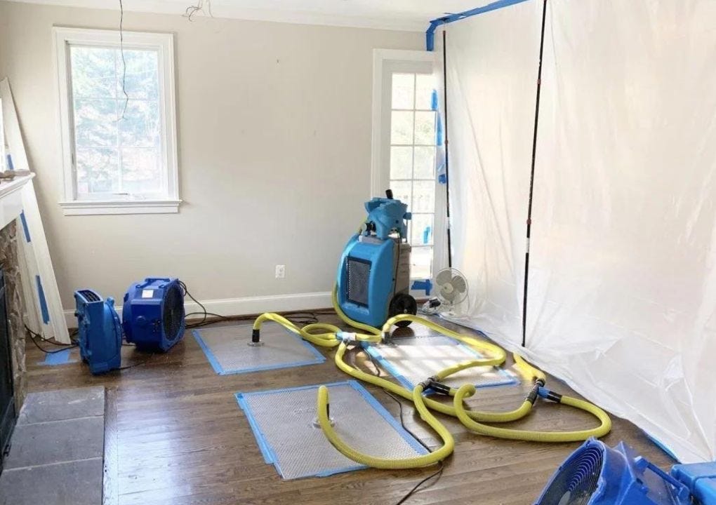 Mold Removal and Prevention — Essential Steps in Residential Restoration | by Skyward Restoration Inc. | Sep, 2024 | Medium