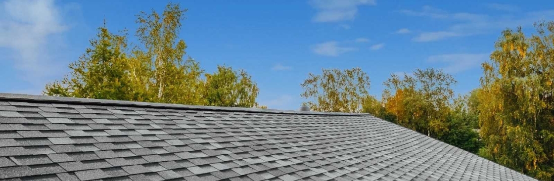 Dolphin Roofing Cover Image